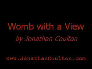 Womb with a View (Karaoke)